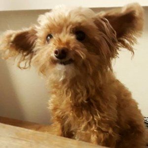 ElectricSpoon's Posh Profile